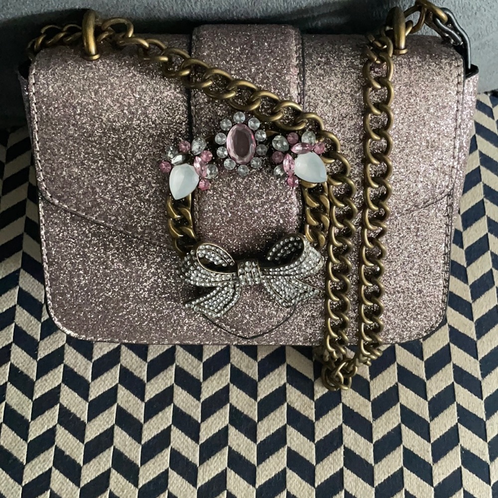 Beautiful Aldo glittered purse